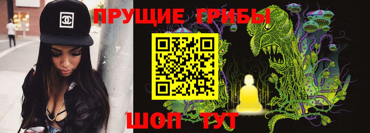 что такое наркотик  Псилоцибиновые грибы Psilocybe  Верхняя Салда  Вход с VPN  Псилоцибиновые грибы Magic Shrooms 